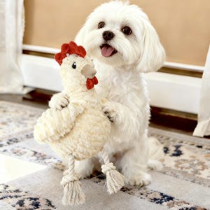 May include: A fluffy white dog with a happy expression holds a plush chicken toy. The chicken is cream-colored with a red comb and wattle, and rope legs. The dog is on a patterned rug.