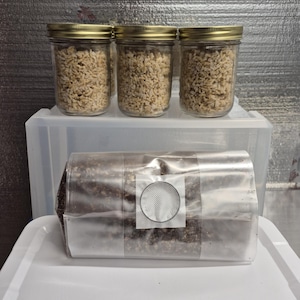 May include: Three glass jars with gold lids filled with brown grains sit atop a white plastic container. Below, a clear plastic bag contains a dark brown, rectangular block with a white, circular patch.