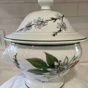 Apilco French Porcelain - Etsy