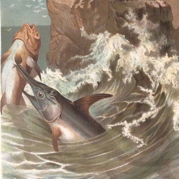 Swordfish Print Etsy