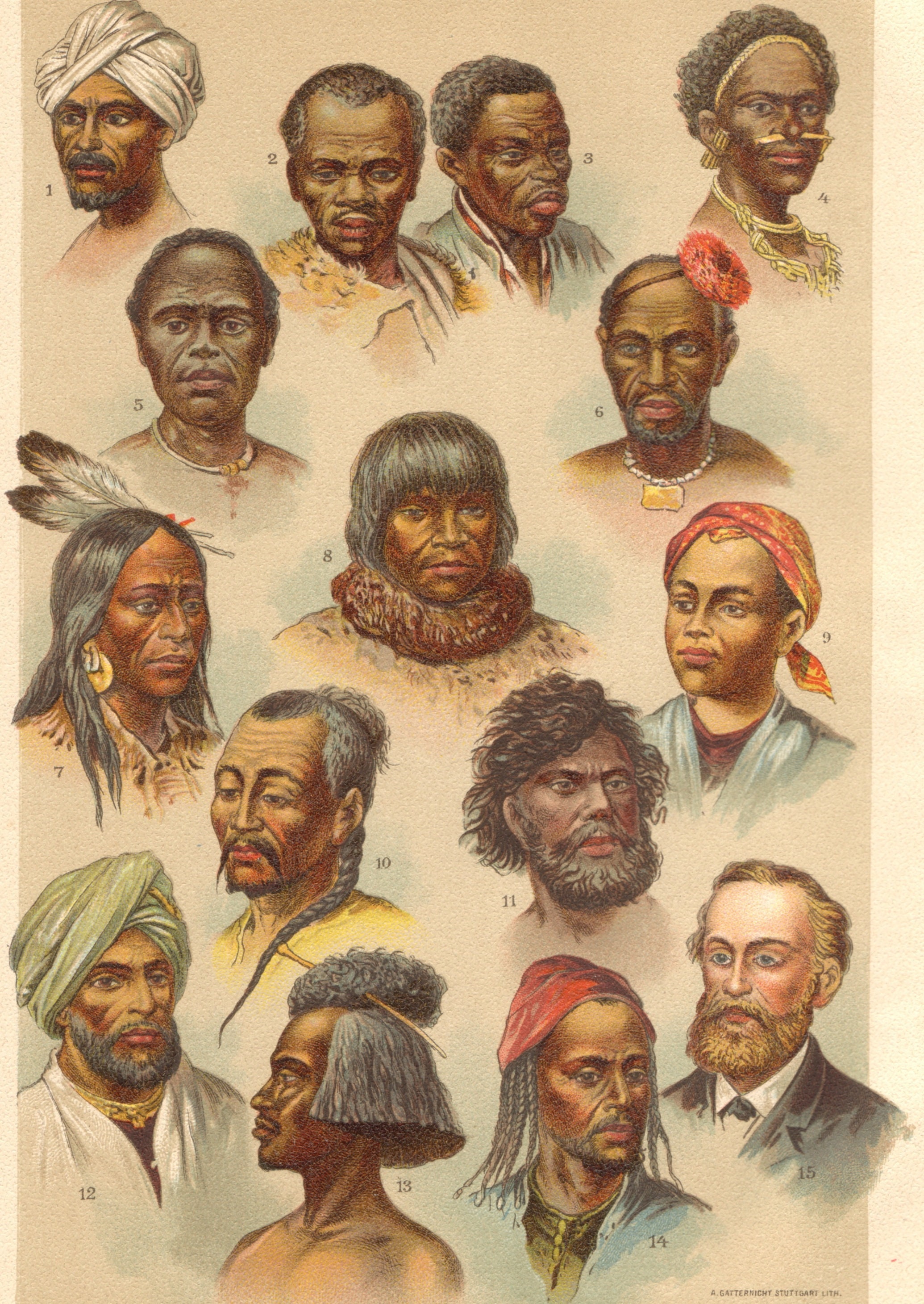 Human Race Groups