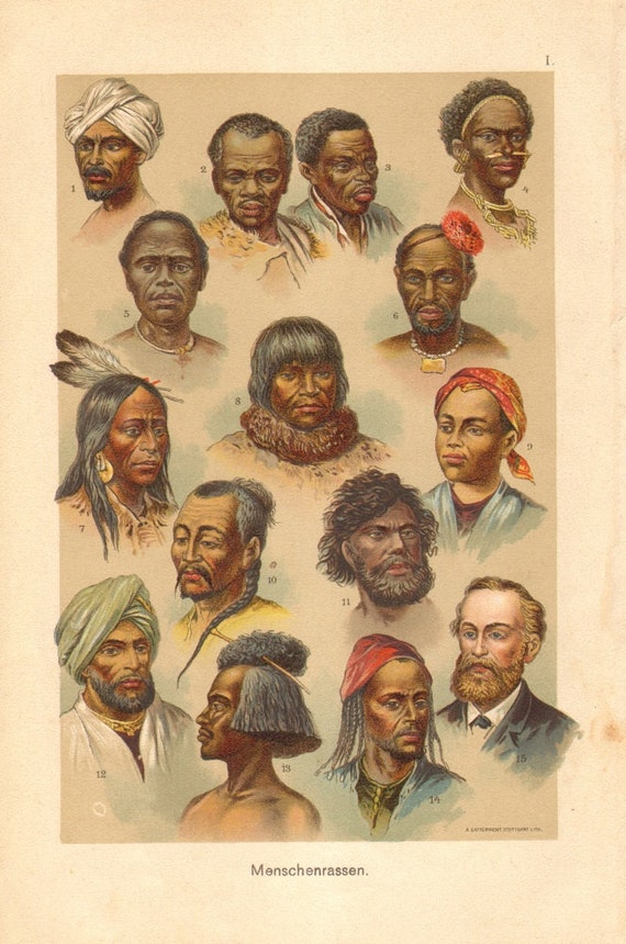 5 human races