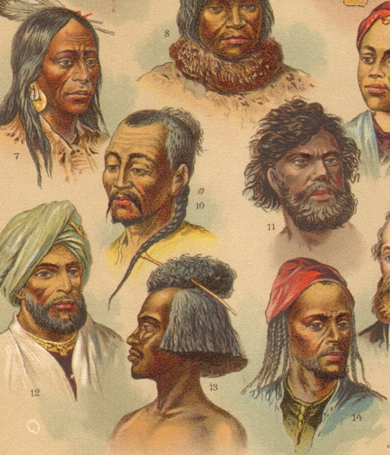 Race science infographics archive [biology, genetics, anthropology, etc] â Thuletide