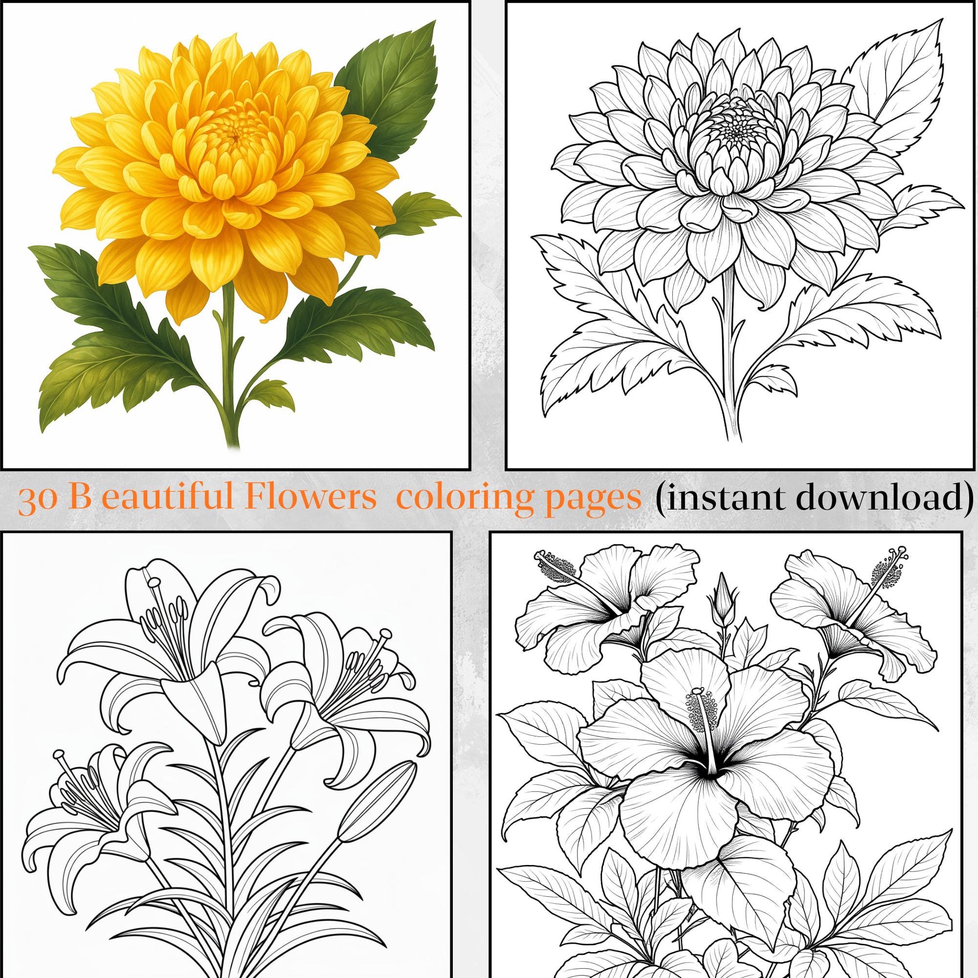 印刷できる花の塗り絵 – 大人も子供も楽しめる、大胆で簡単な塗り絵30ページ – すぐにデジタルダウンロード - Etsy 日本, image size:2000x2000