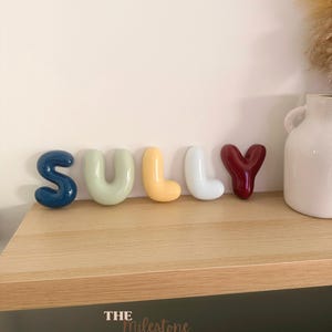 May include: A set of five individual, rounded, glossy letters spelling the name SULLY. The letters are coloured dark blue, sage green, pale yellow, white, and deep red. Each letter has a smooth, inflated appearance and stands upright.