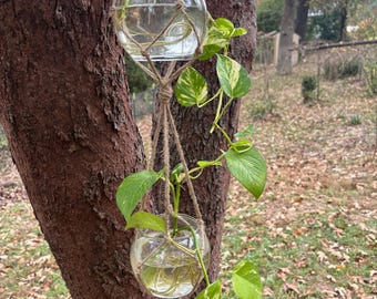 Hanging Propagation Station W/ 4 Mystery cuttings | Hand Made | Glass Vase