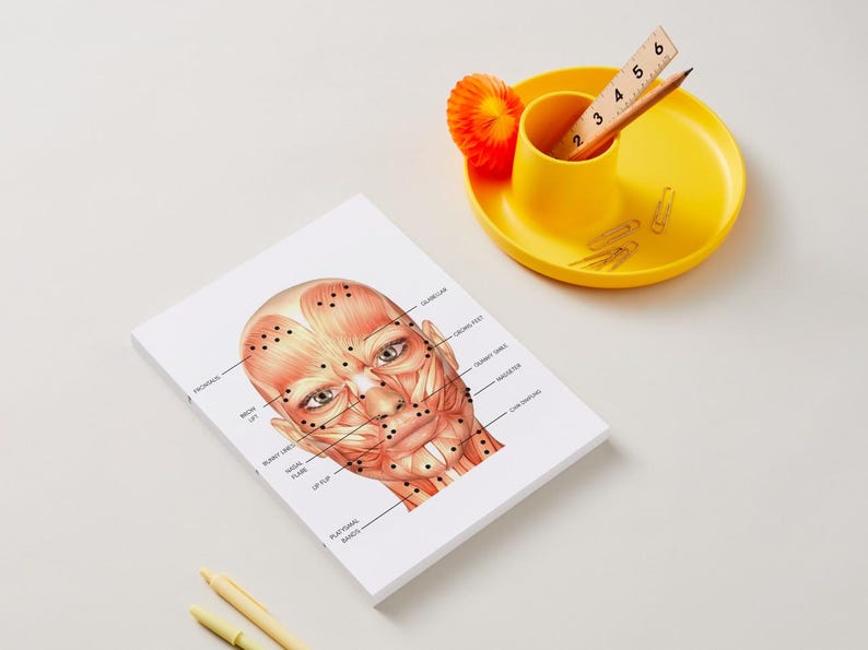 NURSE INJECTOR Anatomy Facemap | Botox Dosing and Landmarking ...