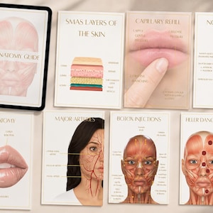 The Anatomy Manual | Botox, Filler, Arteries (PDF Download)