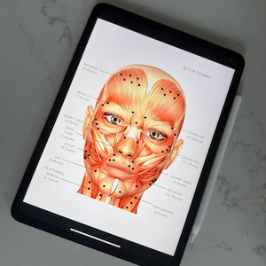 以下が含まれることがあります： デジタルタブレットには、ボトックス注射の部位を示す顔の解剖学的詳細図が表示されています。「Botox Dosing」、「Frontalis」、「Brow Lift」、「Bunny Lines」などのテキストと単位の測定値が含まれています。
