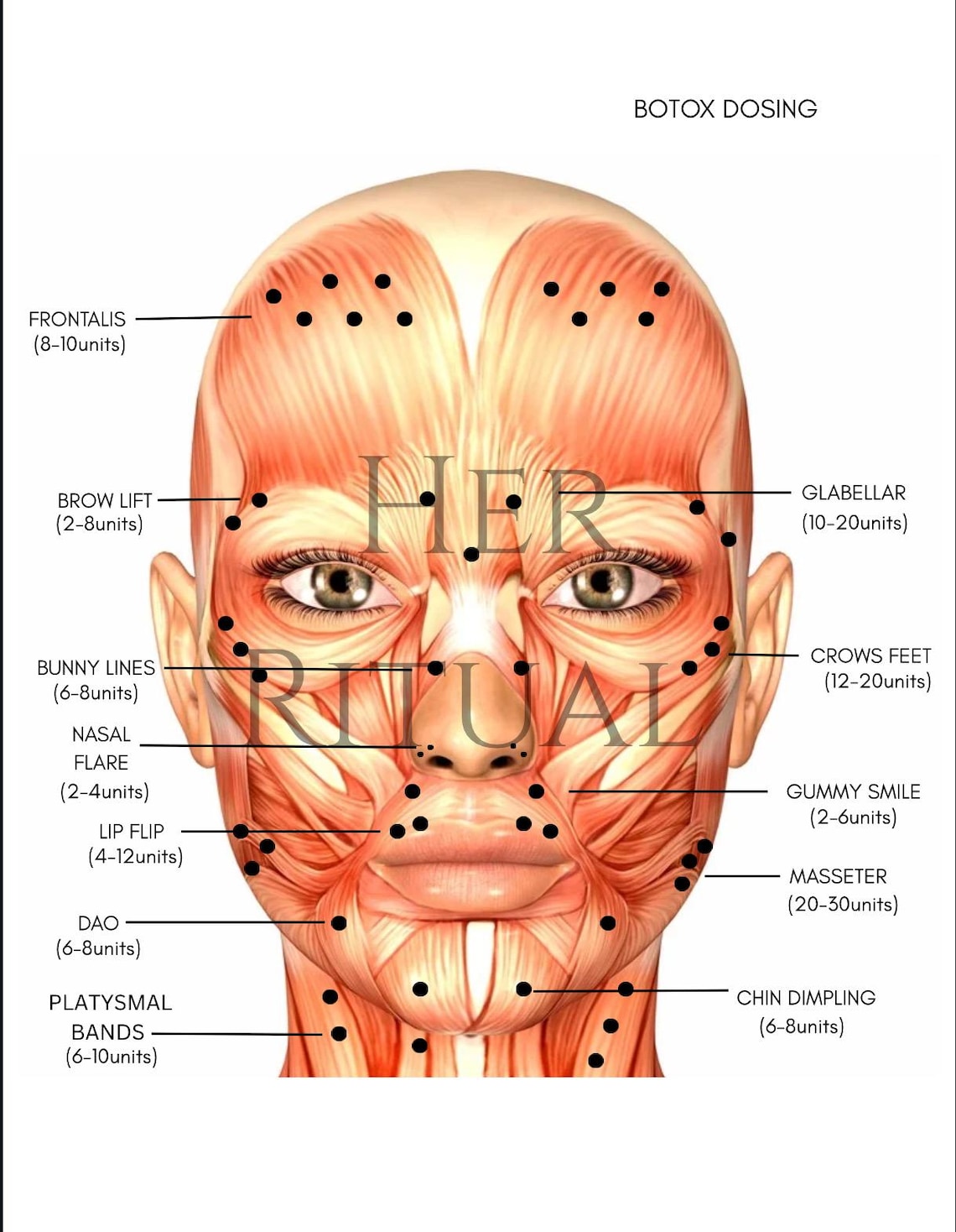 NURSE INJECTOR Anatomy Facemap | Botox Dosing and Landmarking ...
