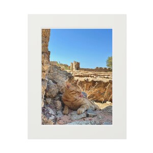Wall Art, Sleepy Greek Cat Fine Art Print, Passepartout Paper Frame, Home Decor, Gift for Cat Lovers, Bedroom Wall Hanging