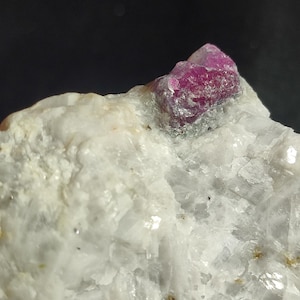 May include: A raw, uncut gemstone specimen featuring a vibrant, deep pink ruby crystal embedded in a matrix of white, crystalline rock. The ruby's rough texture contrasts with the smooth, reflective surface of the surrounding stone.