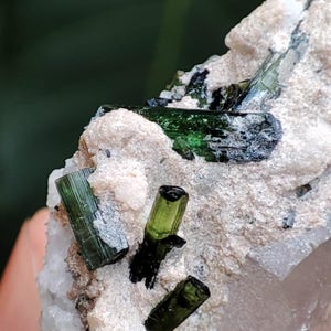 Puede incluir: Primer plano de un espécimen mineral en bruto con vibrantes cristales de turmalina verde incrustados en una matriz de piedra beige y blanca. Los cristales son cilíndricos y translúcidos, con un tono verde oscuro.