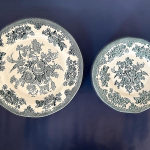 Enoch Wedgwood Asiatic Pheasants Teal/Petrol Cake Set - 9pcs