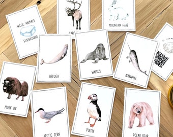 Winter Printable Arctic Animal Flashcards