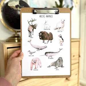 Cartel de animales árticos Tarjetas didácticas imprimibles Descarga digital Montessori Estudio de la naturaleza de invierno Aula de educación en el hogar Charlotte Mason Kindergarten