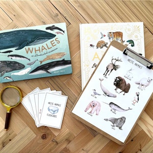 Cartel de animales árticos Tarjetas didácticas imprimibles Descarga digital Montessori Estudio de la naturaleza de invierno Aula de educación en el hogar Charlotte Mason Kindergarten