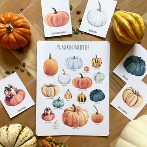 Kürbis-Poster zum Ausdrucken im Herbst, Kürbis-Karteikarten, Halloween zum ausdrucken