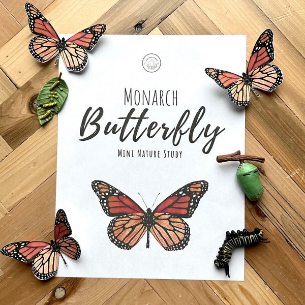 Butterfly Printable - Etsy