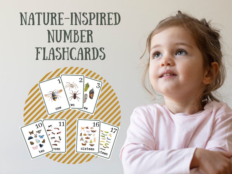 Number Flash Cards Charlotte Mason Bugs Insects Printable Etsy Canada number-flash-cards-charlotte-mason-bugs-insects-printable-etsy-canada