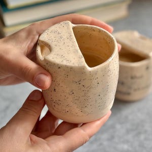 Peut inclure: Une tasse en céramique mouchetée avec un design unique, comprenant une poignée incurvée et une section découpée. La tasse est de couleur beige clair avec des mouchetures foncées. L'arrière-plan comprend une pile de livres.