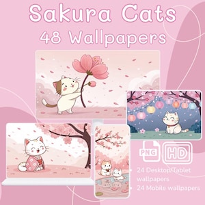 Könnte beinhalten: Rosa digitale Hintergrundbilder mit Cartoon-Katzen und Kirschblüten. Das Bild zeigt einen Laptop, ein Tablet und ein Telefon, die verschiedene Szenen mit Katzenmotiven anzeigen. Der Text lautet "Sakura Cats" und "48 Wallpapers".