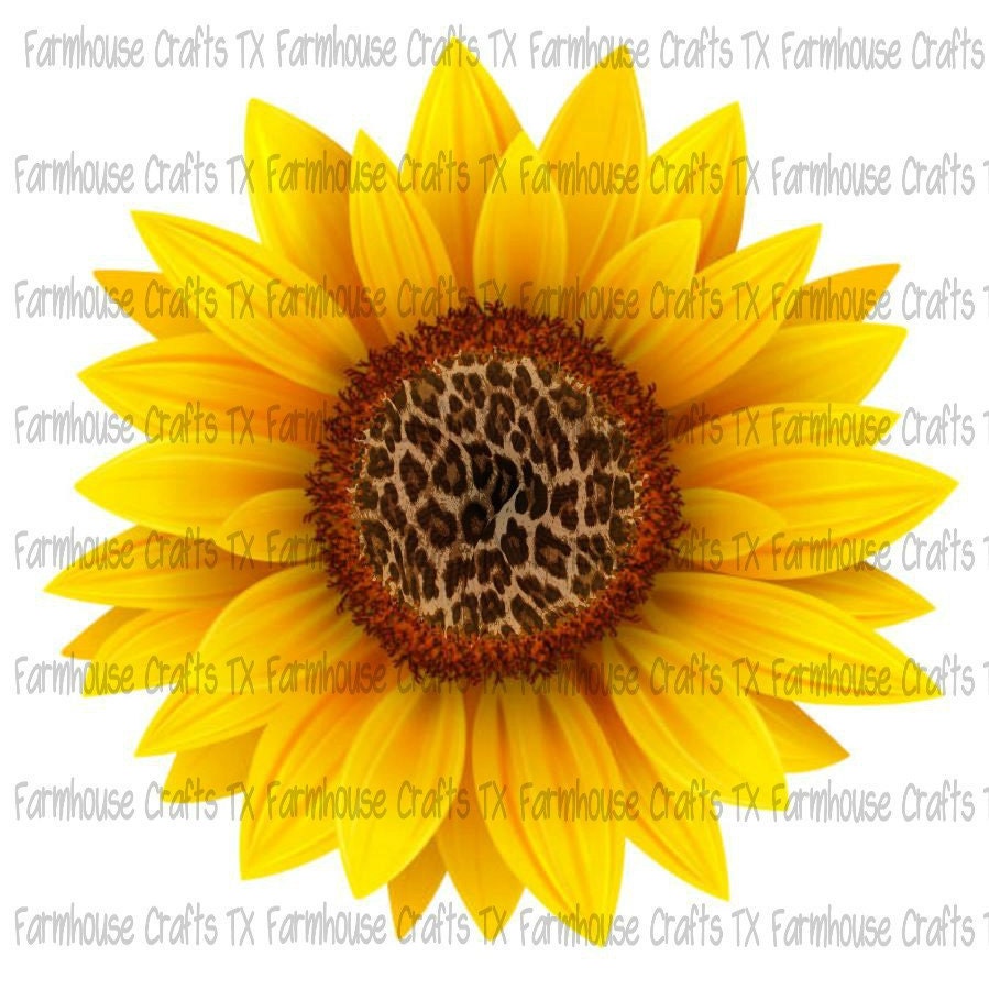 Free Free 150 Clipart Sunflower Png SVG PNG EPS DXF File