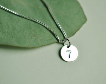 Silver Number 7 necklace jewelry