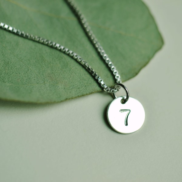 Silver Number 7 necklace jewelry