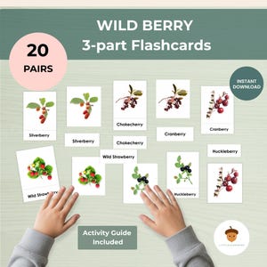 May include: Educational flashcards displaying illustrations of wild berries such as silverberry, chokecherry, cranberry, and huckleberry. The cards are labelled with the berry names and include the text "WILD BERRY 3-part Flashcards".