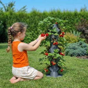 アイヴィア垂直庭園／15種類の植物を植えられる植物タワー／バルコニーやテラス用のイチゴタワーとハーブガーデン／都市型ガーデニング完全セット