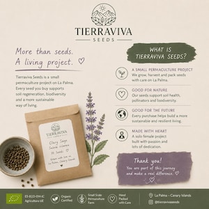 Pode incluir: Um pacote de sementes de papel castanho rotulado Tierraviva Seeds Clary Sage Salvia sclarea com 10 sementes, ao lado de uma pequena tigela de sementes escuras e uma ilustração botânica de uma flor roxa. O texto detalha um projeto.