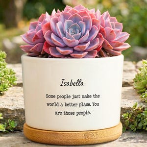 May include: A white ceramic planter with a succulent plant. The succulent has pink and purple leaves. The planter has a bamboo base and the name "Isabella" and a quote printed on it. The planter is surrounded by greenery.
