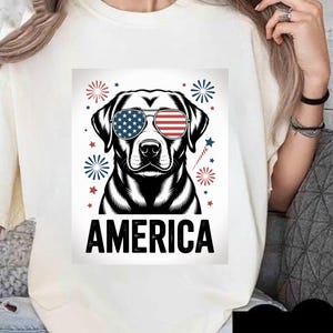 Patriotic Labrador Retriever PNG