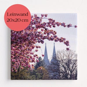 Könnte beinhalten: Leinwanddruck mit einem Bild von rosa Kirschblütenzweigen und den Türmen einer Kathedrale im Hintergrund. Die Leinwand misst 20x20 cm.