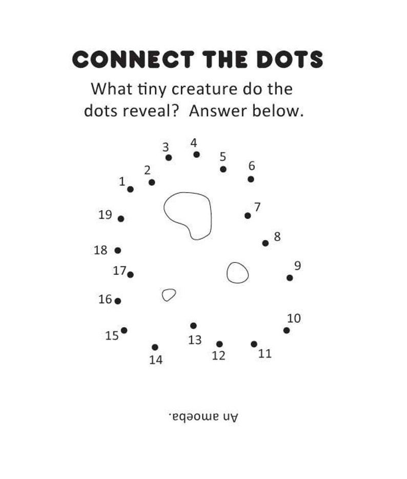 Livre dactivités vraiment minuscule, vraiment terrible image 5