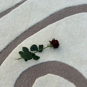 May include: A deep red rose with green foliage lies on a patterned rug. The rug's design features curved lines in white and brown, creating a soft, textured surface. The rose is in full bloom, with its petals fully open.