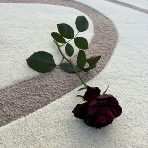 May include: A deep red rose with green leaves rests on a cream rug with a brown and cream circular design. The rose is fully open, displaying its rich colour and delicate petals.