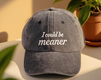 Embroidered "I Could Be Meaner" Dad Hat | Sarcastic Humor Gift