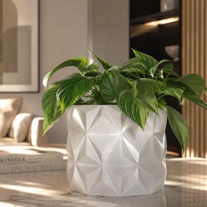 Può includere: Un vaso geometrico bianco pieno di una pianta verde a foglie. Il vaso ha un design sfaccettato, creando un aspetto moderno. Le foglie della pianta sono di un verde vibrante con venature verde chiaro, aggiungendo contrasto.