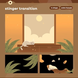 Animerad streamövergång | Twitch Stinger-överlägg | Mysig varm oas | Söt streamövergång för OBS och Streamlabs | TikTok Live-överlägg