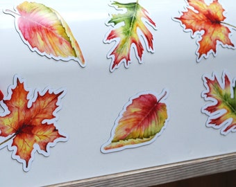 Mailbox Magnet Partial Cover, Set of 3 or 6 Autumn Fall Leaves, Watercolor Style, Car Magnet