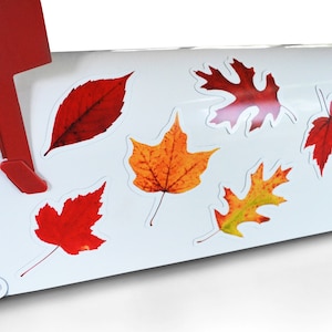 May include: A white mailbox with a red flag and six colorful fall leaf stickers. The leaves are red, orange, and yellow.