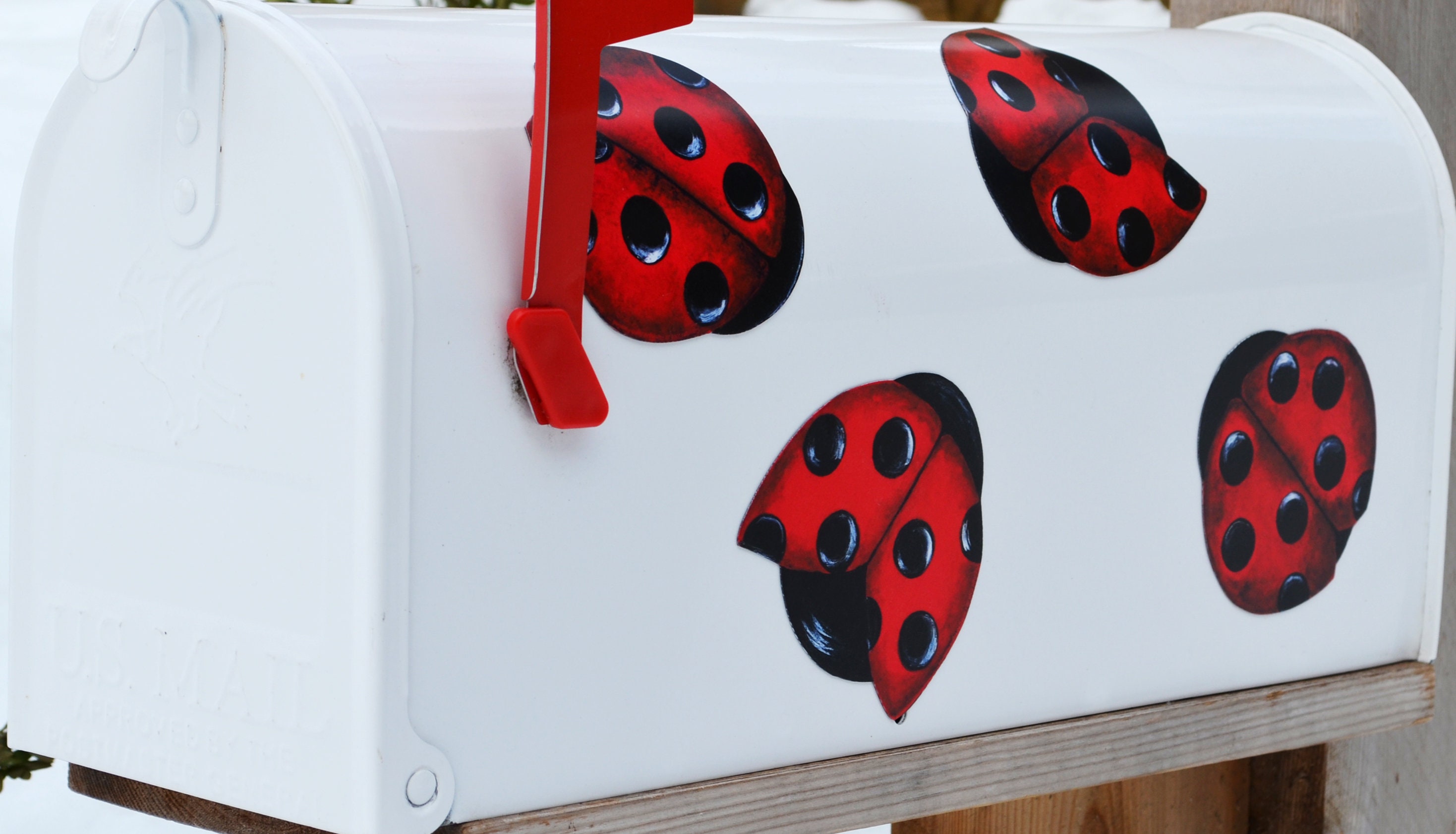 Mailbox Cover Door Car Mail Box Ladybugs Set Etsy