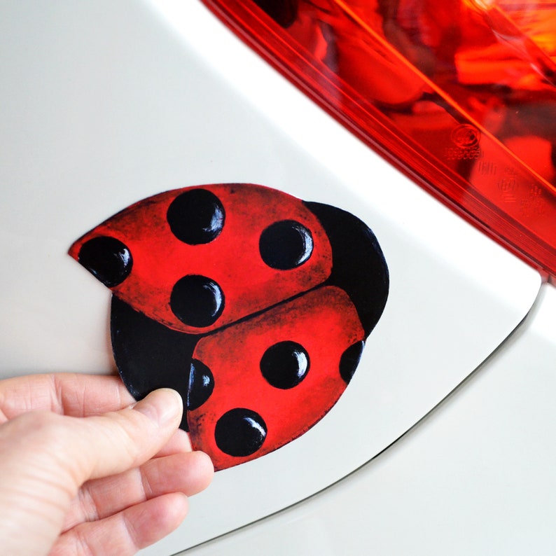 Mailbox Cover Door Car Mail Box Ladybugs Set Etsy