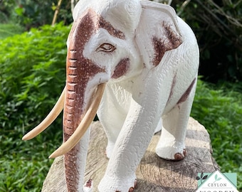 Scultura di elefante bianco in mogano intagliato a mano: arte per la decorazione della casa