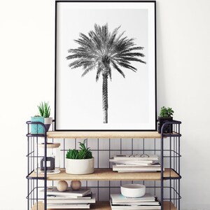 Palm tree photography print, black and white fine art photograph, large minimalist wall art, contemporary oversized photo for tropical decor image 4