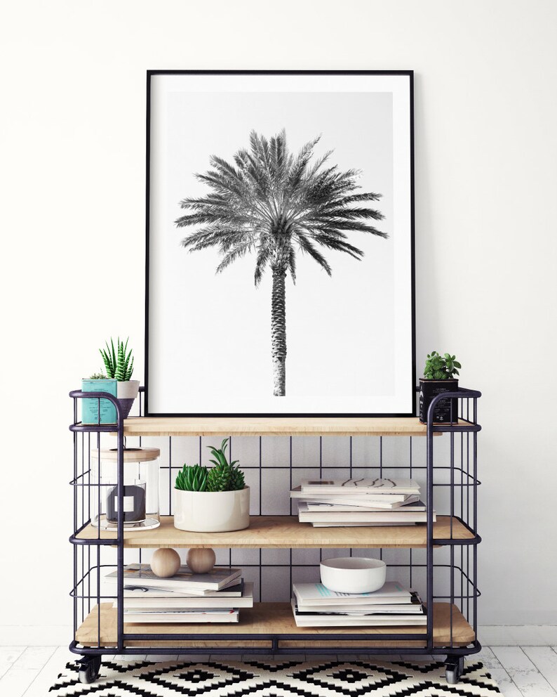 Palm tree photography print, black and white fine art photograph, large minimalist wall art, contemporary oversized photo for tropical decor image 4