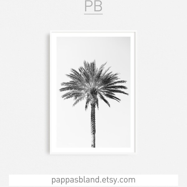 Palm Tree Large Etsy