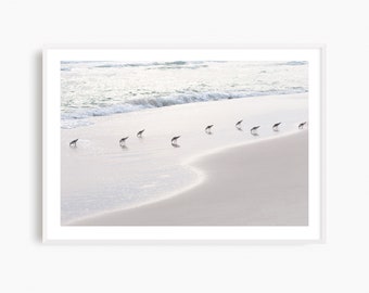 Sandpiper art, minimalist beach photograph, neutral coastal wall art. Sanderlings photography print, oversized art